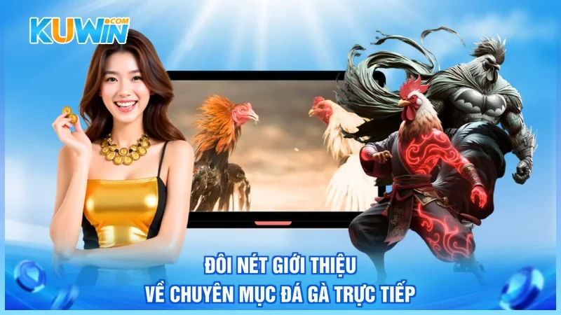 Kuwin Đá gà trực tiếp Đôi nét giới thiệu về chuyên mục đá gà trực tiếp
