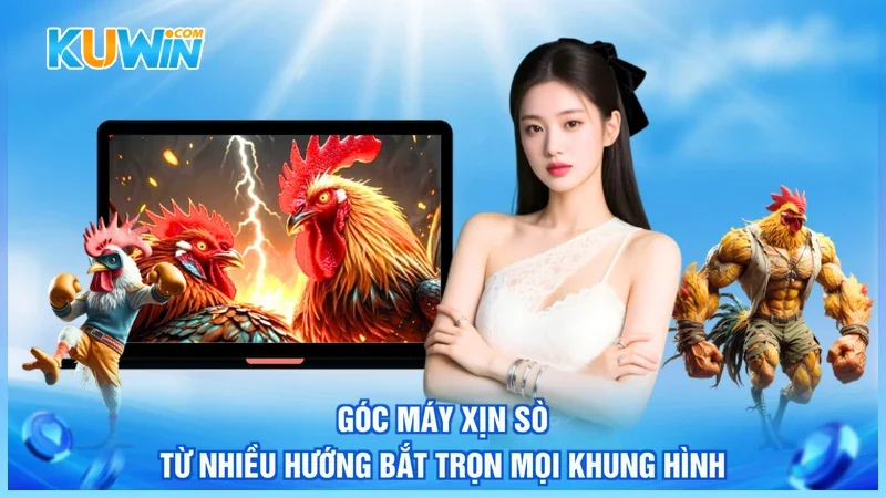 Kuwin Đá gà trực tiếp Góc máy xịn sò từ nhiều hướng bắt trọn mọi khung hình